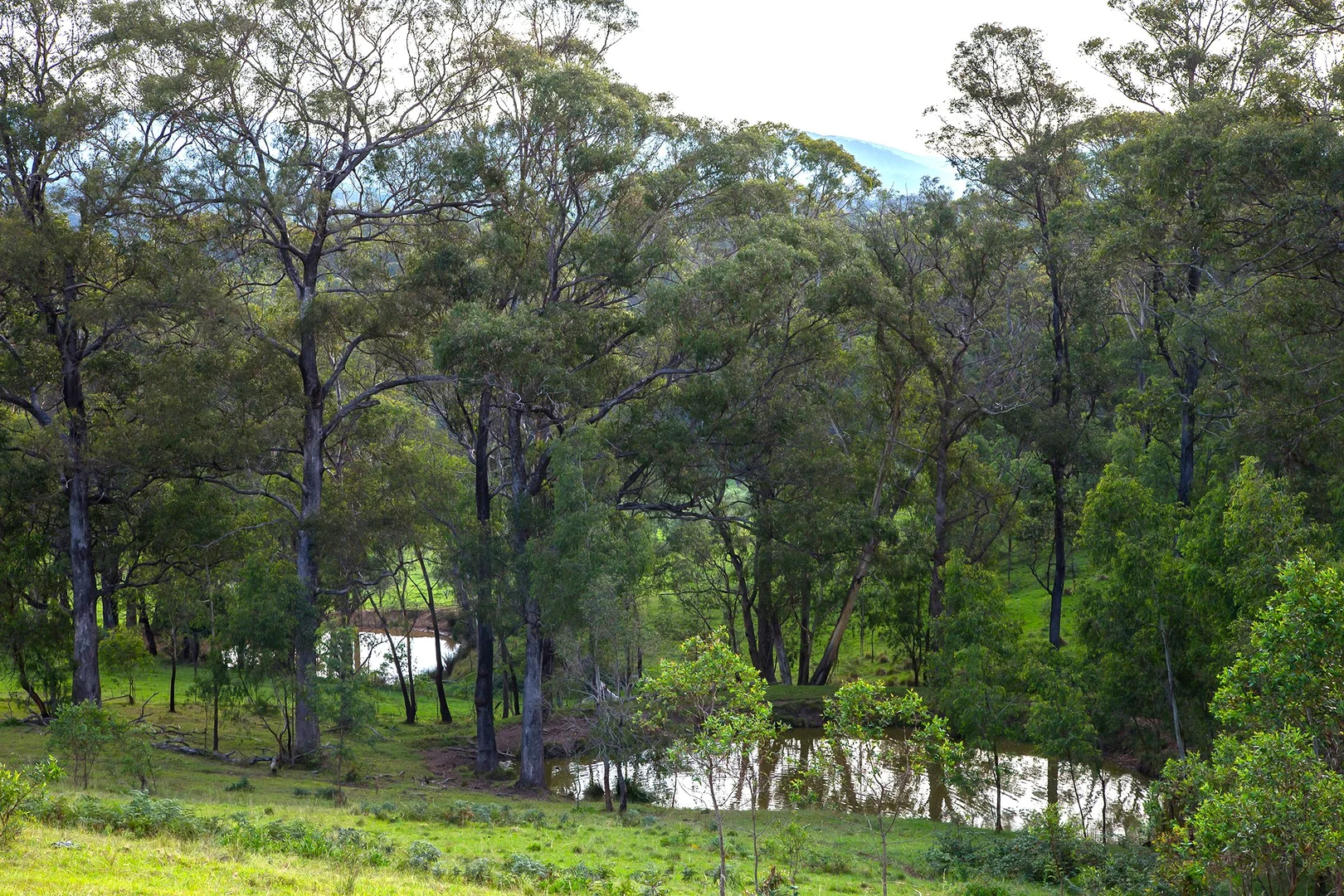 Additional image 9 of 1107 Old Hume Highway, Alpine NSW 2575