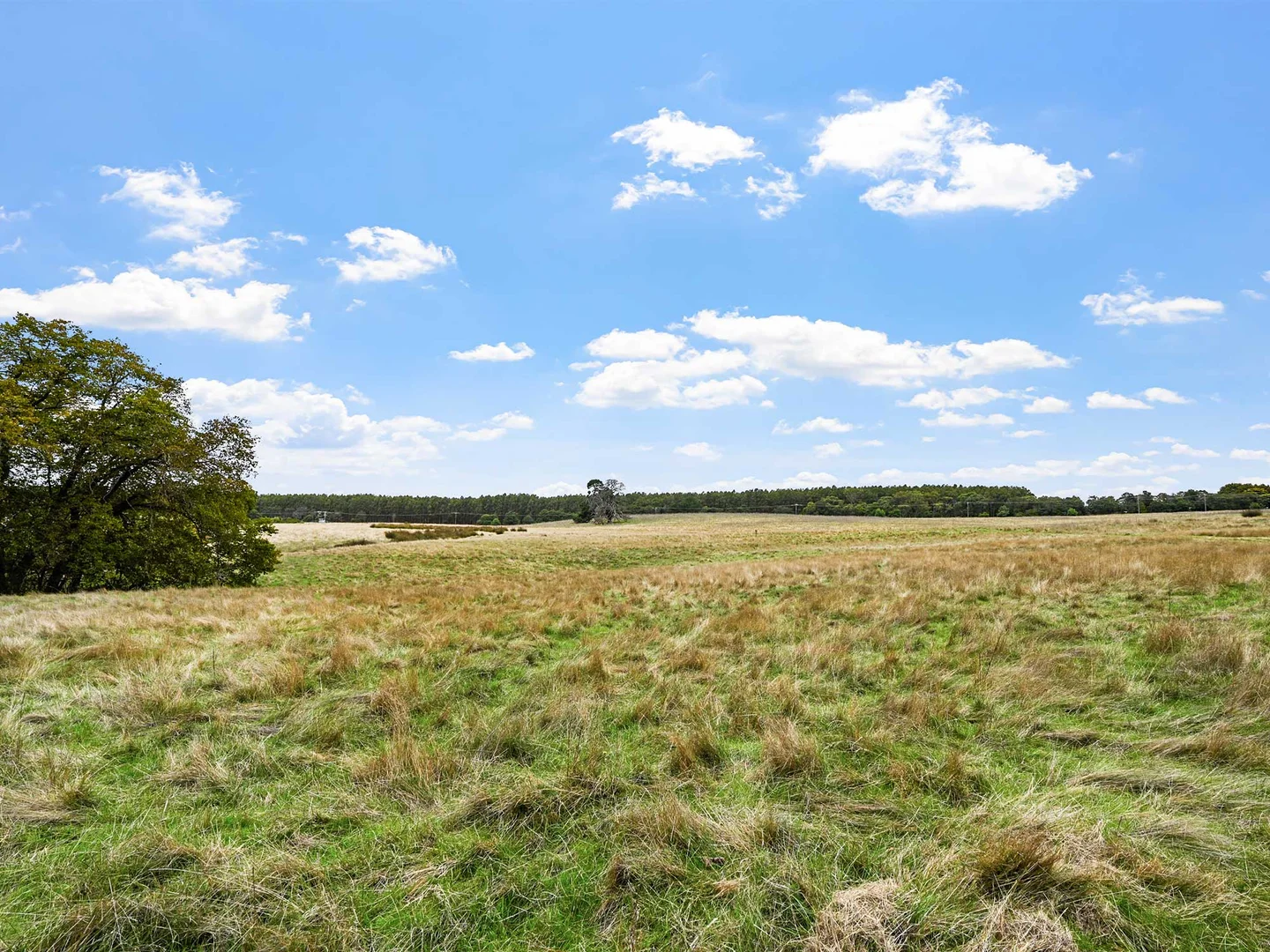 Additional image 3 of 4231 Dartmoor-Hamilton Road, Grassdale VIC 3302