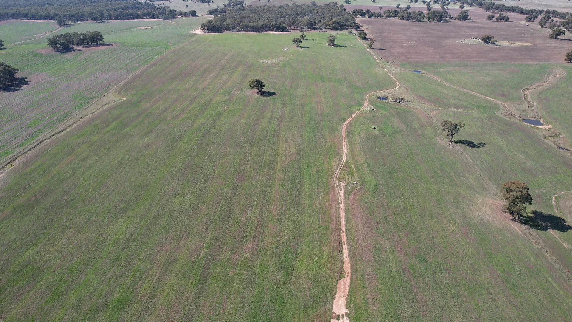 Additional image 12 of 53 Plantation Road, Majorca VIC 3465