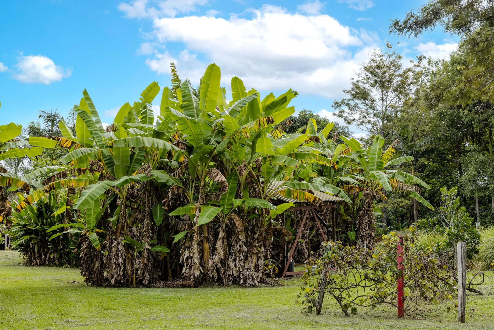 Additional image 12 of 15-31 Neeraway Road, Eerwah Vale QLD 4562
