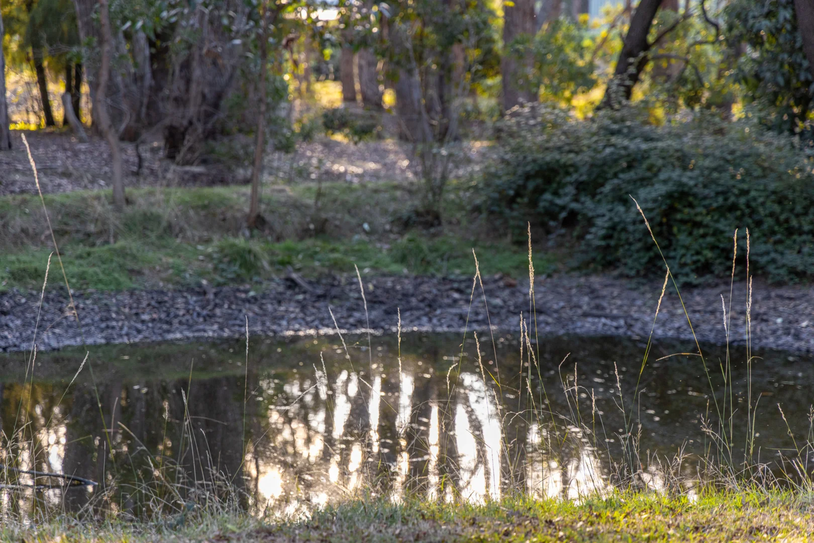 Additional image 28 of 130 Fisken Road, Mount Helen VIC 3350