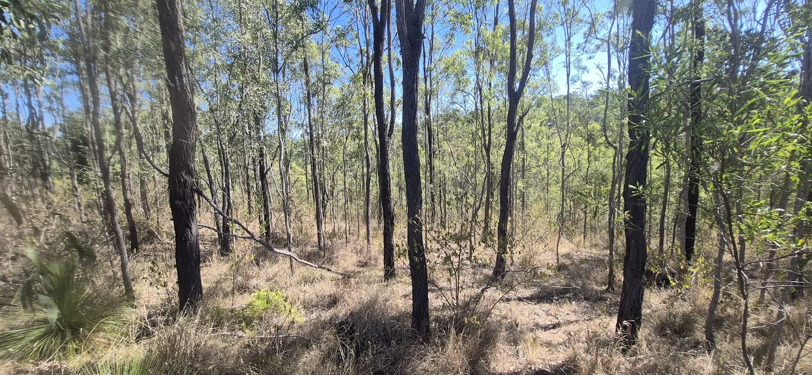 Additional image 5 of 76 Campbell Drive, Kooralbyn QLD 4285