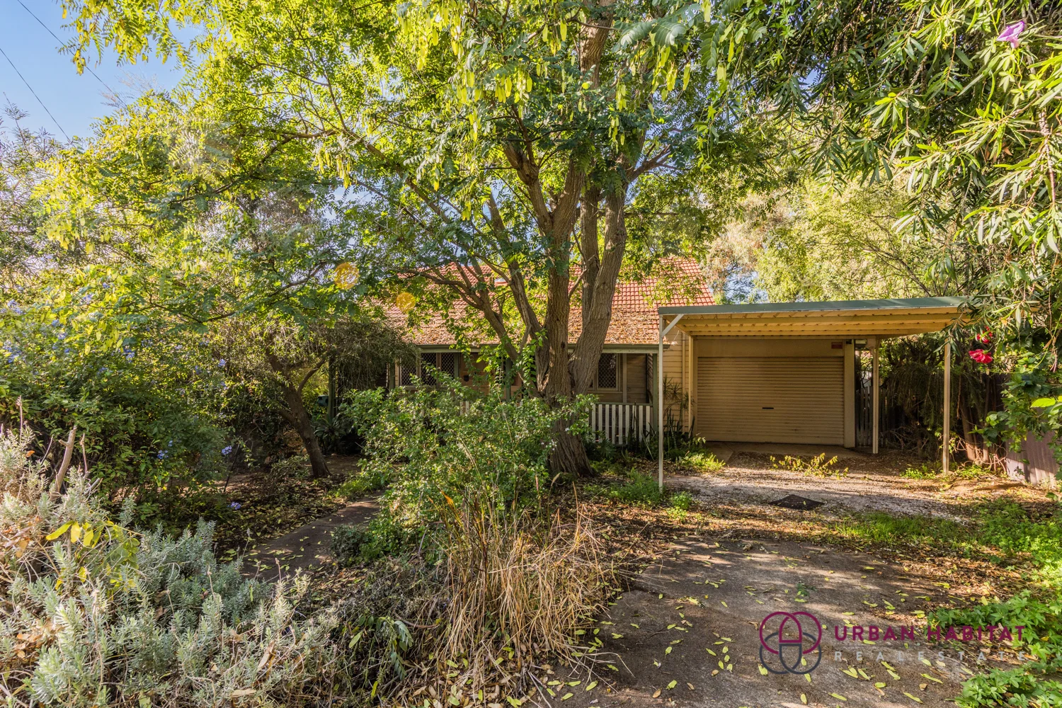 Additional image 12 of 38 Crabtree Way, Medina WA 6167