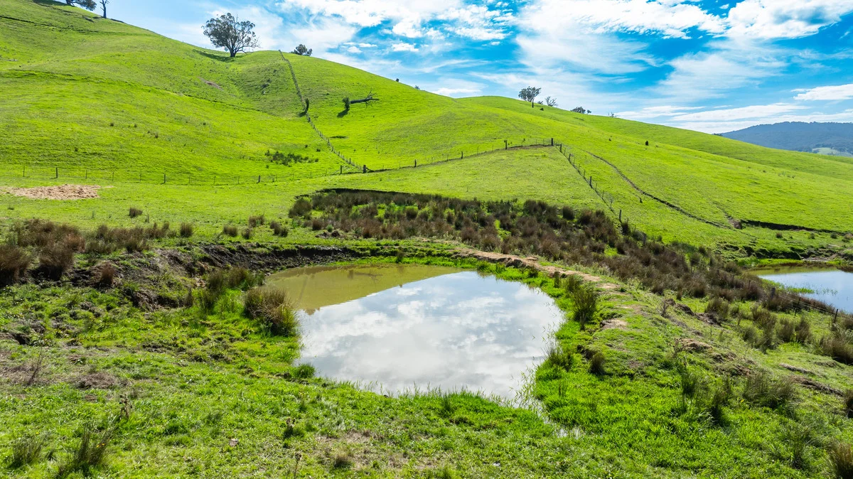 Additional image 7 of Sandy Creek Road, Sandy Creek VIC 3695