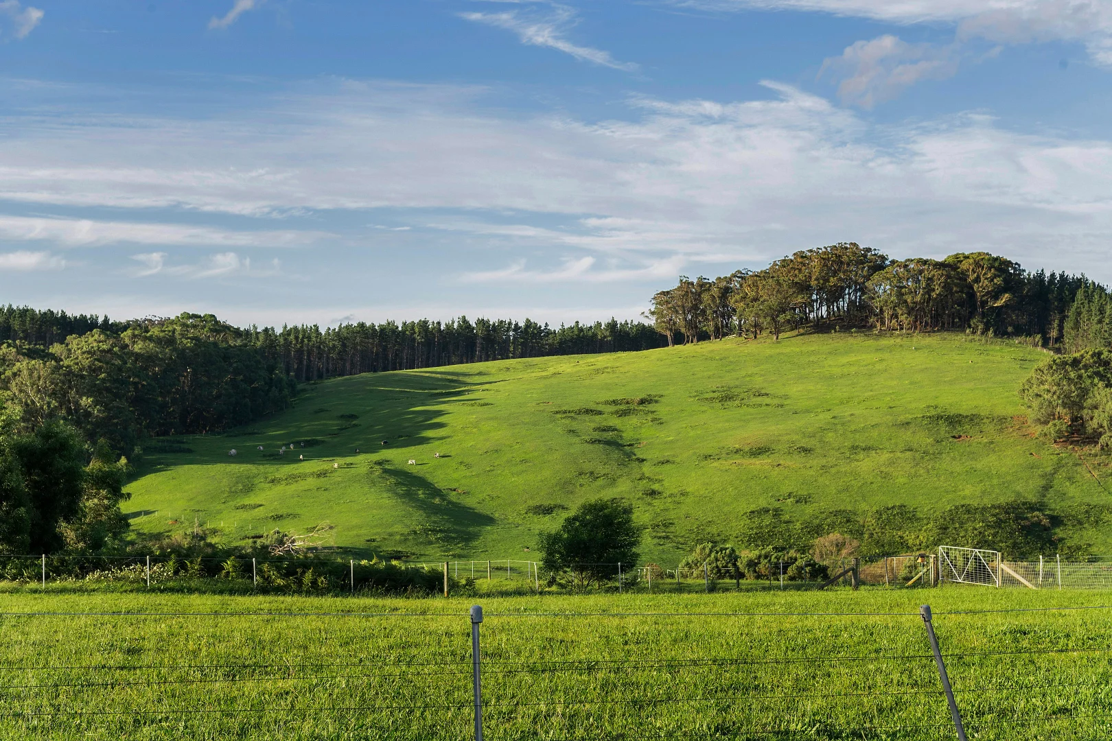 Additional image 24 of 59 Razorback Road, Tallong NSW 2579