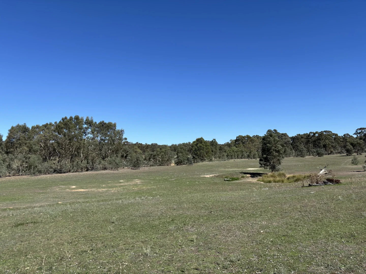 Additional image 8 of 0 Bealiba - Rheola Road, McIntyre VIC 3472