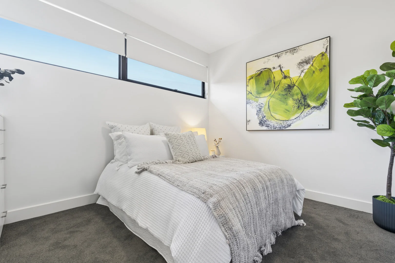 Additional image 15 of 10 Thornbury Street, Beulah Park SA 5067