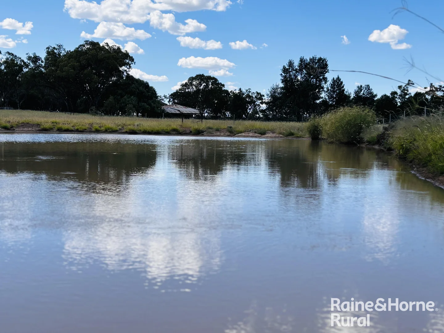 Additional image 14 of 640 Carrington Road, Roma QLD 4455