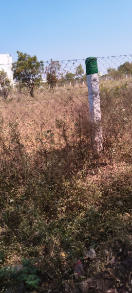 Arasur, Coimbatore photo 2