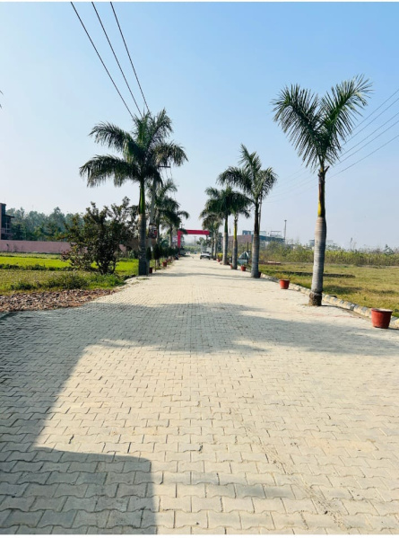 Additional image 2 of Patanjali Yogpeeth, Haridwar