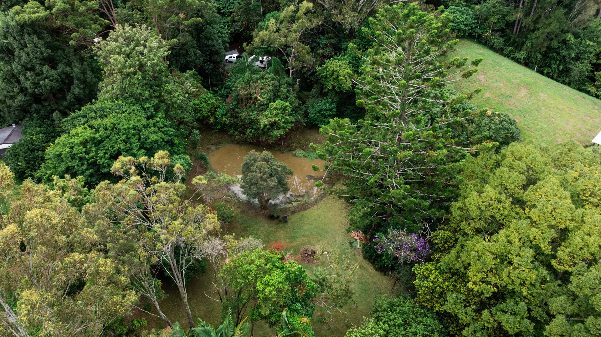 Additional image 30 of 13 Lillee Court, Currumbin Valley QLD 4223