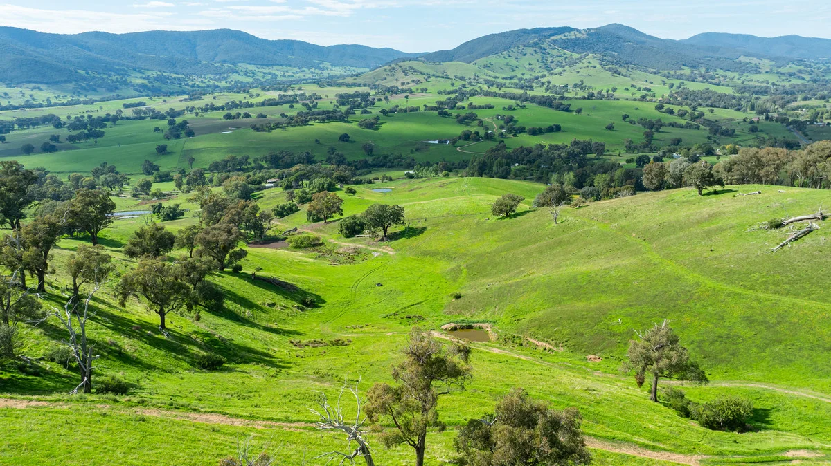 Additional image 6 of Sandy Creek Road, Sandy Creek VIC 3695
