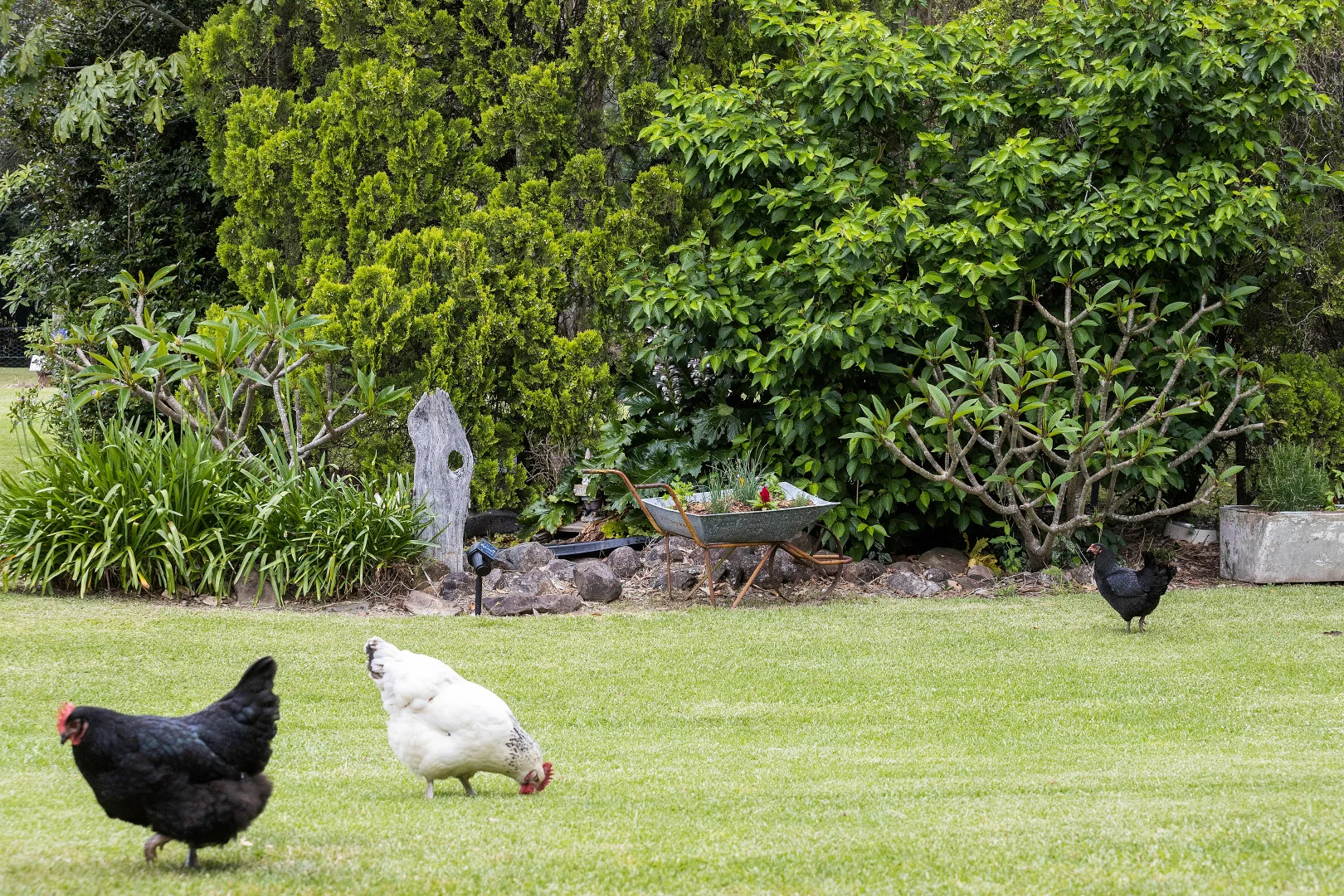 Additional image 18 of 105b Croziers Road, Jaspers Brush NSW 2535