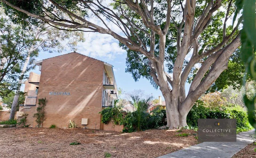 Additional image 8 of 2/3 Cullen Street, Shenton Park WA 6008