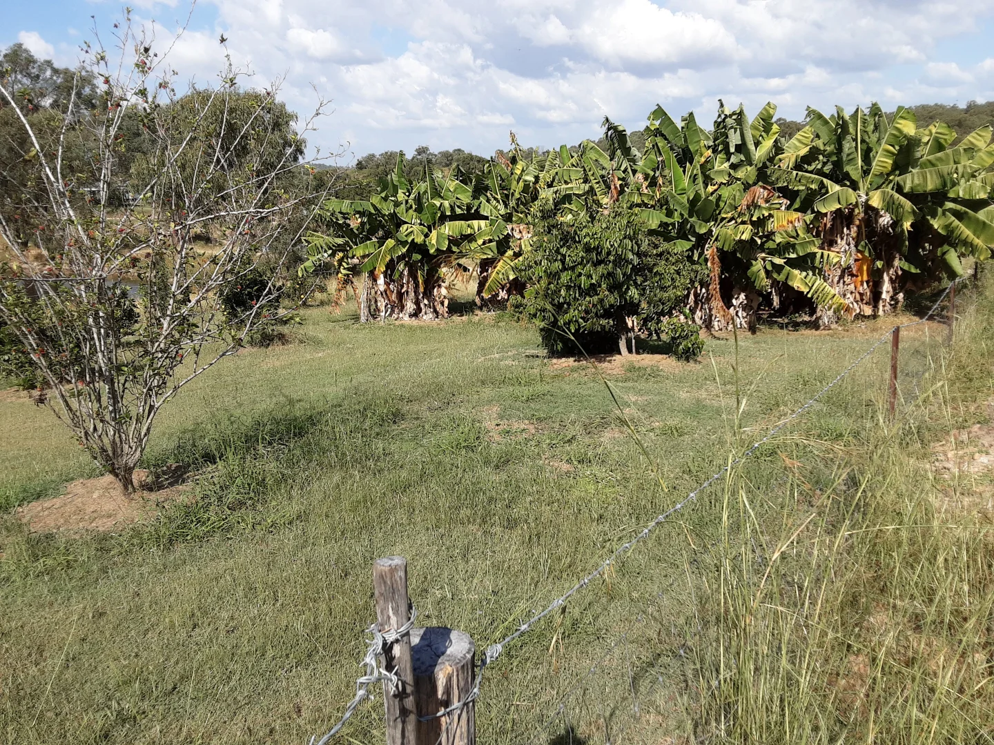 Additional image 26 of 120 Aplin Road, Bracewell QLD 4695