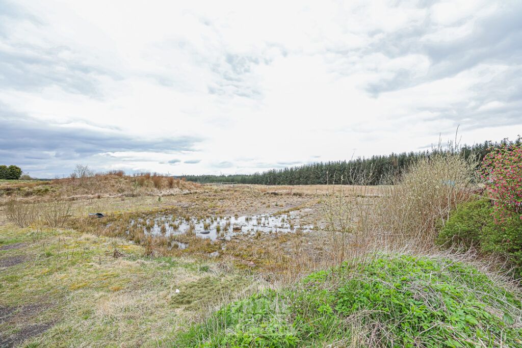 Additional image 4 of Land for saleLand On Muirlaun, Forth, Lanark ML11