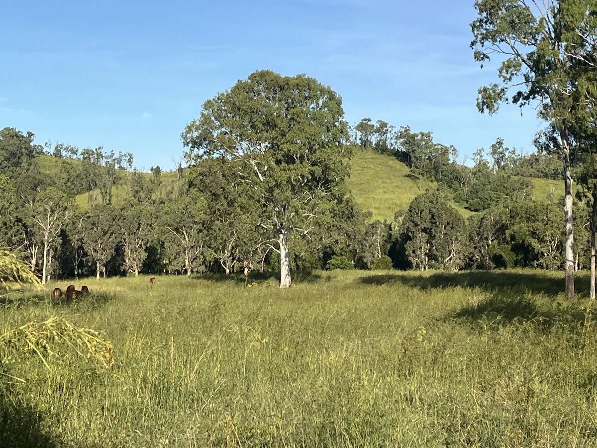 Additional image 15 of 500 Exmoor Road, Bloomsbury QLD 4799