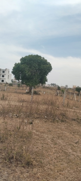 Additional image 2 of Barkheda, Bhopal
