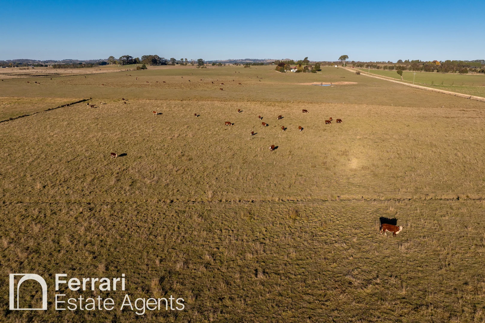 Additional image 45 of 125 Burtons Lane, Orange NSW 2800