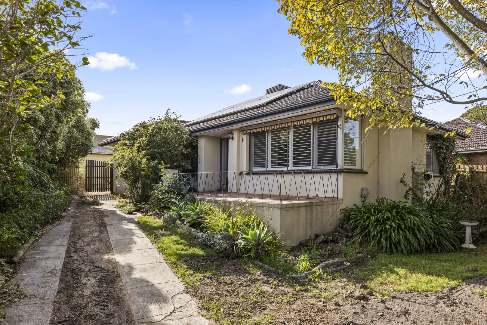 11 Ripley Street, Mount Waverley VIC 3149