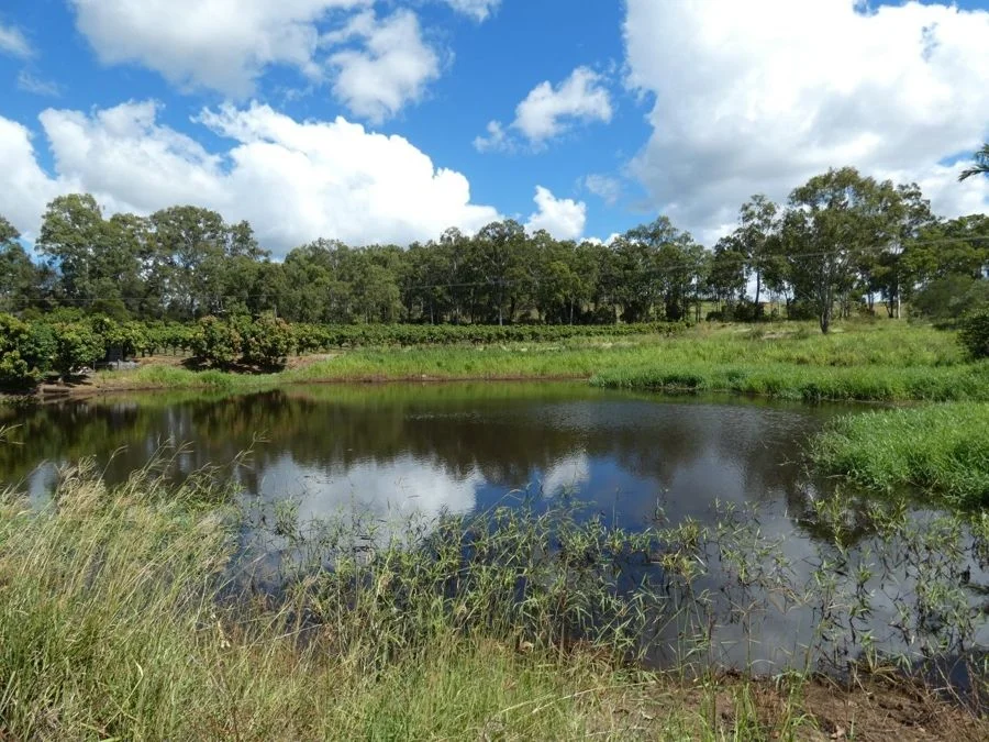 Additional image 27 of 86 Simpsons Road, Bullyard QLD 4671