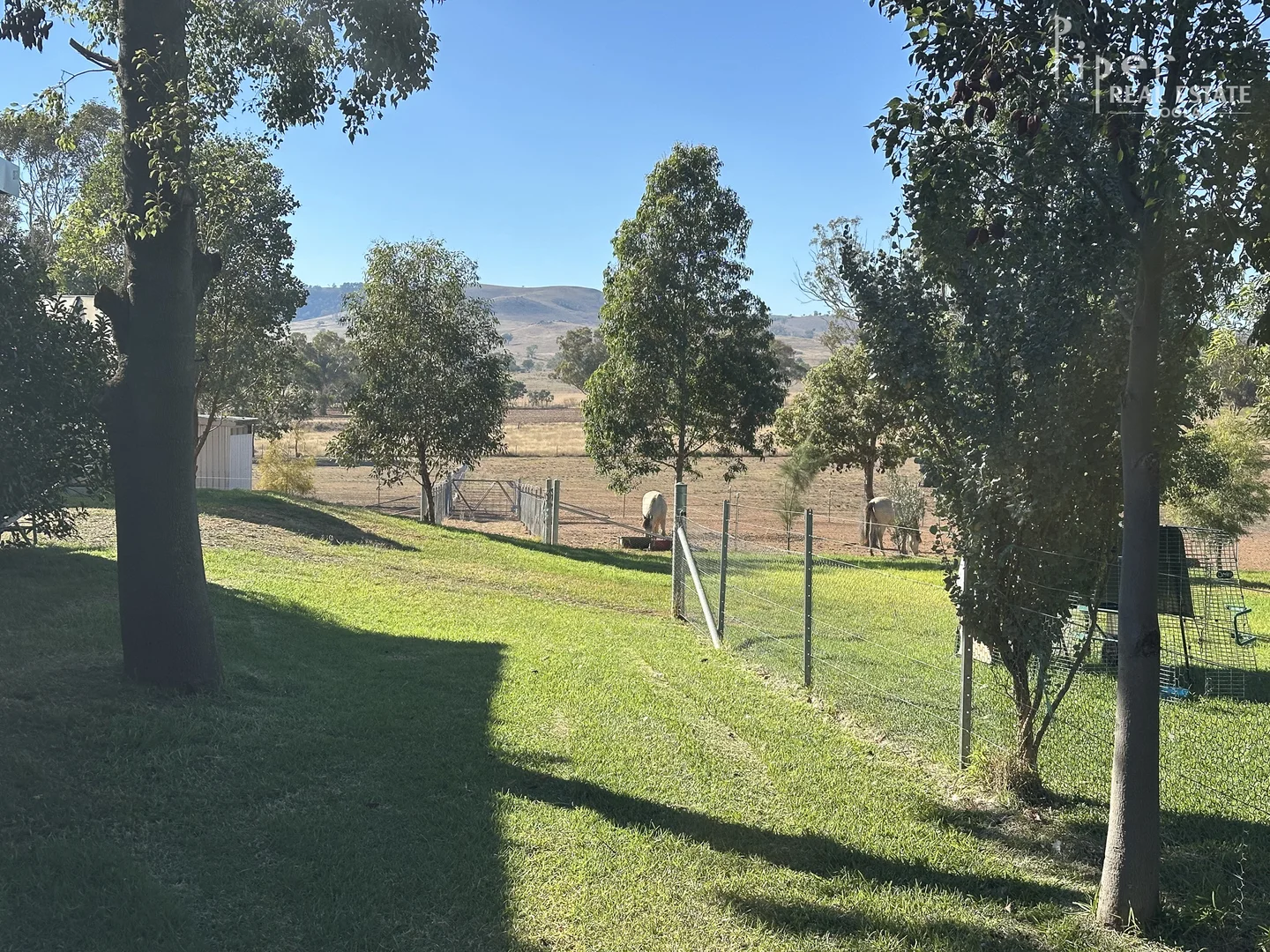 Additional image 19 of The Old School House/75 Denham Street, Leadville via, Dunedoo NSW 2844