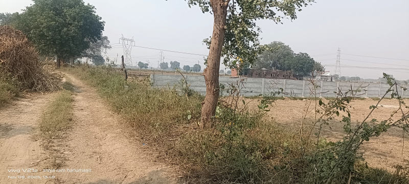 Fatehabad Road, Agra photo 3