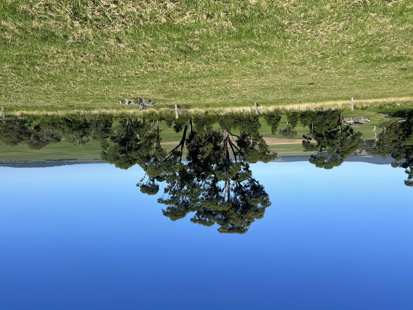 Additional image 3 of 471 Princes Highway, Orbost VIC 3888