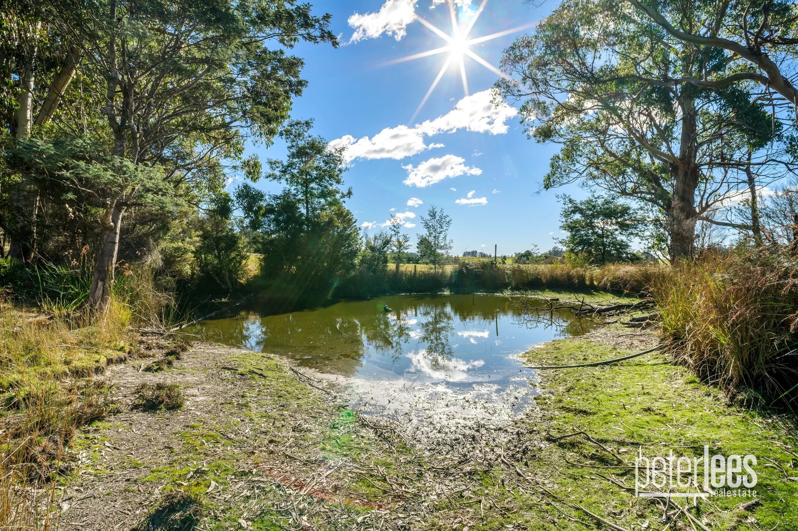 Additional image 24 of 651 Golconda Road, Lebrina TAS 7254