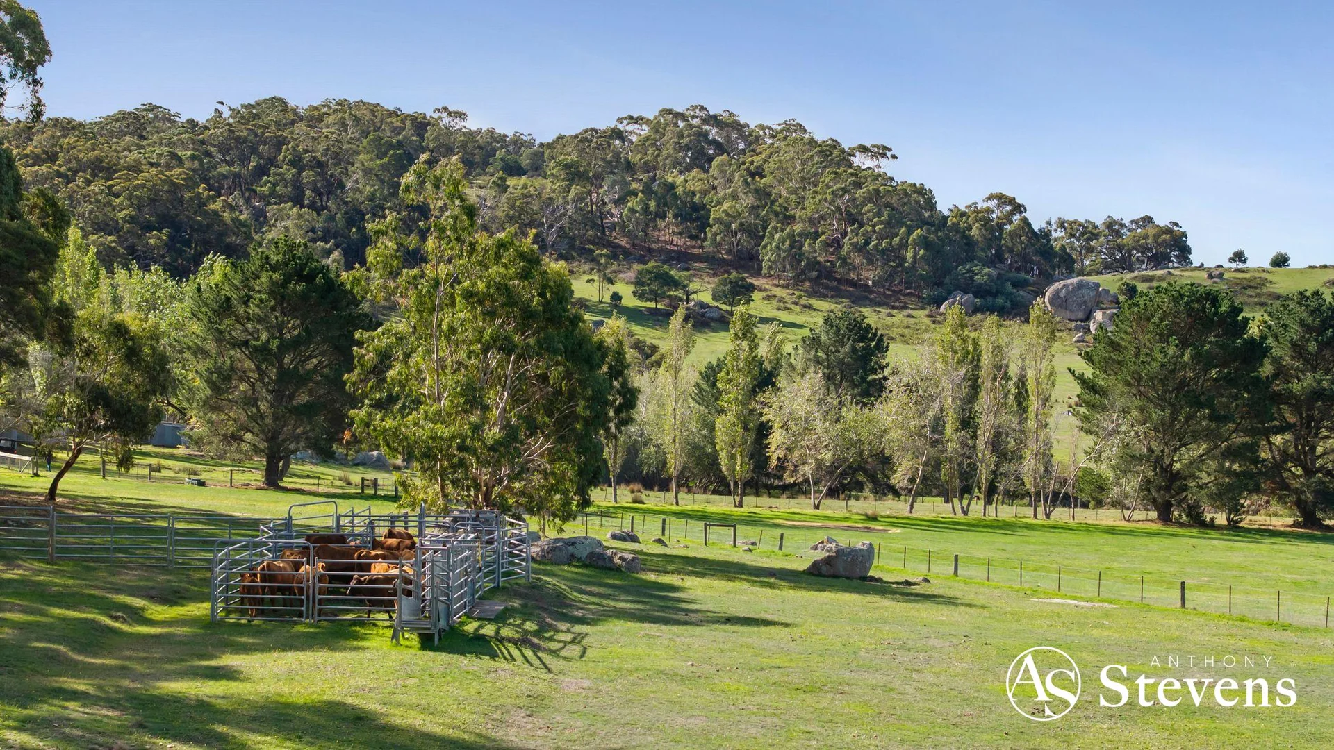 Additional image 8 of 805 Tooborac-Baynton Road, Tooborac VIC 3522