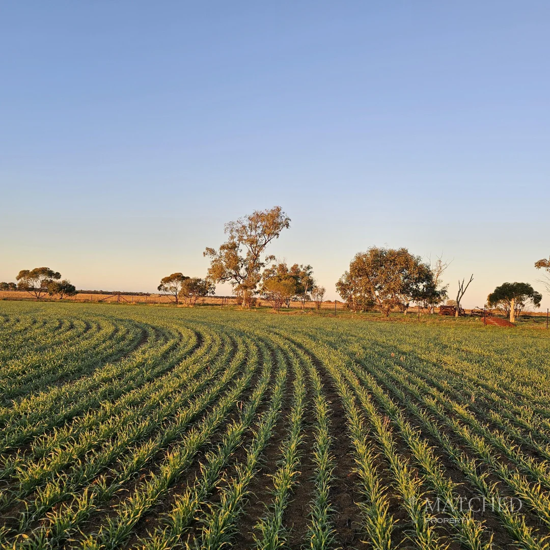 Additional image 24 of 9088 Mullewa-Wubin Road, Morawa WA 6623