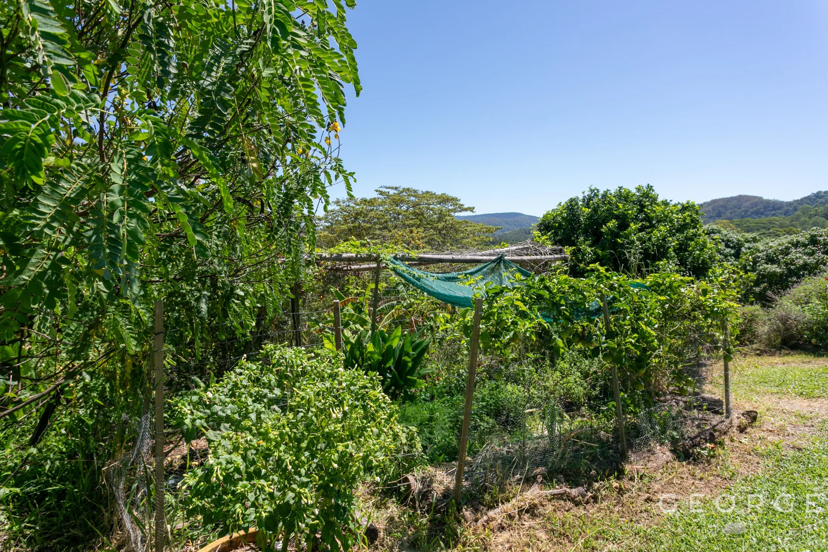 Additional image 28 of 101 Sister Tree Creek Road, Kin Kin QLD 4571