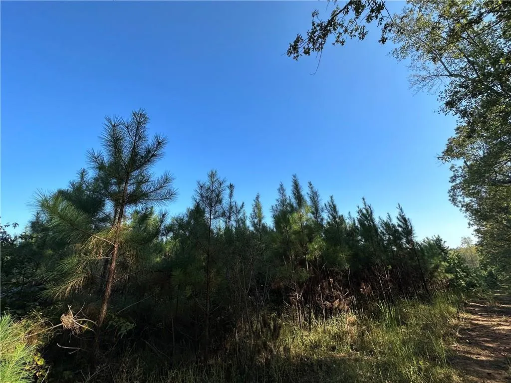 Additional image 9 of Lee Rd 334, Salem, AL 36874
