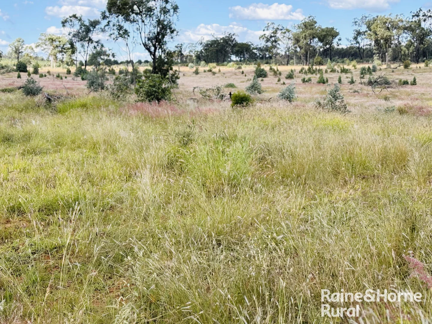 Additional image 11 of 640 Carrington Road, Roma QLD 4455