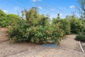 Additional image 44 of 536 Monte Vista Rd, Arcadia, CA, 91007