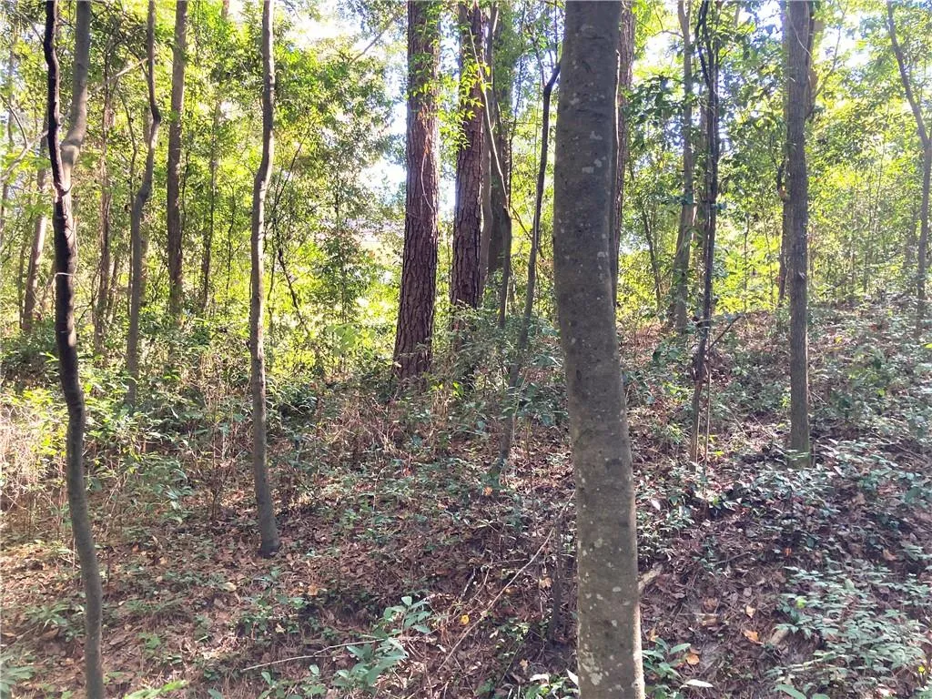 Additional image 13 of Big Spring Drive, Phenix City, AL 36870