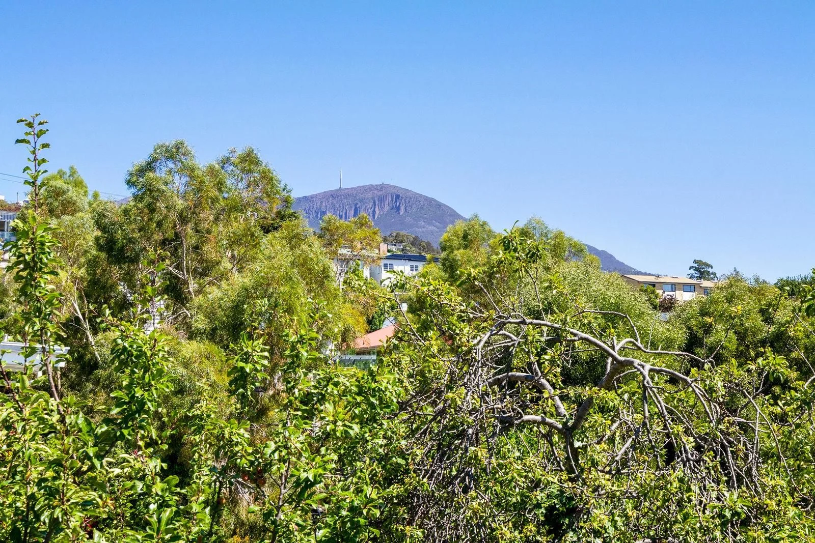 Additional image 28 of 119 York Street, Sandy Bay TAS 7005