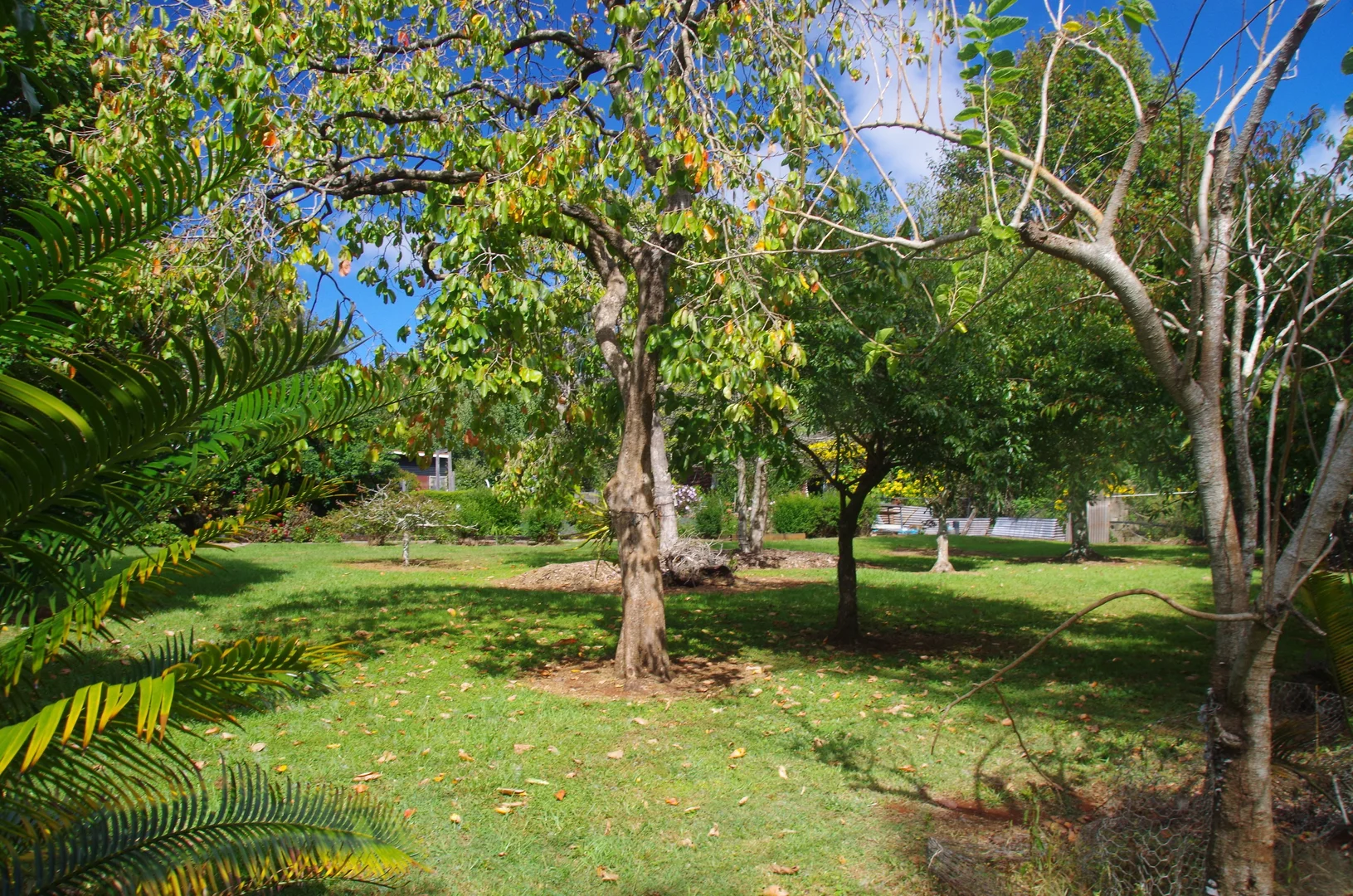 Additional image 9 of 29A Yuulong Road, Tamborine Mountain QLD 4272