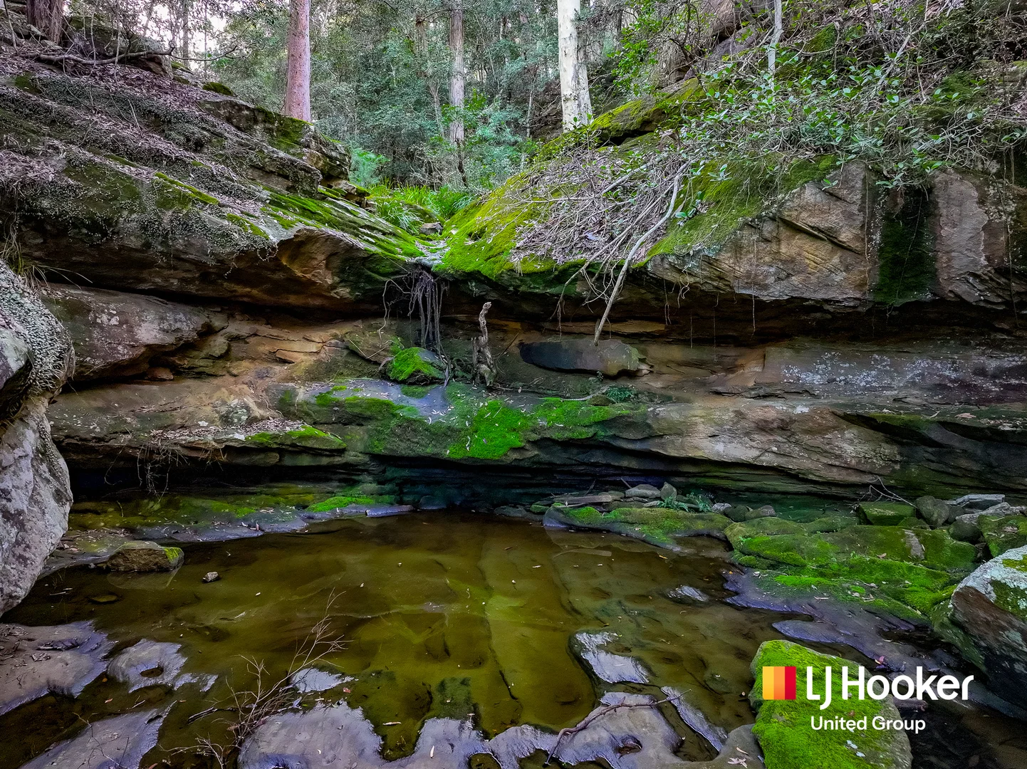 Additional image 29 of 150 Rapleys Loop Road, Werombi NSW 2570