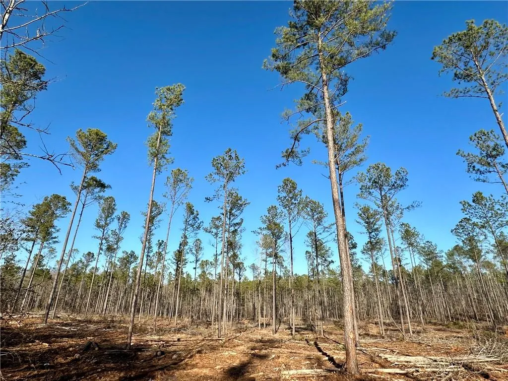 Additional image 4 of Lee Rd 278, Salem, AL 36874