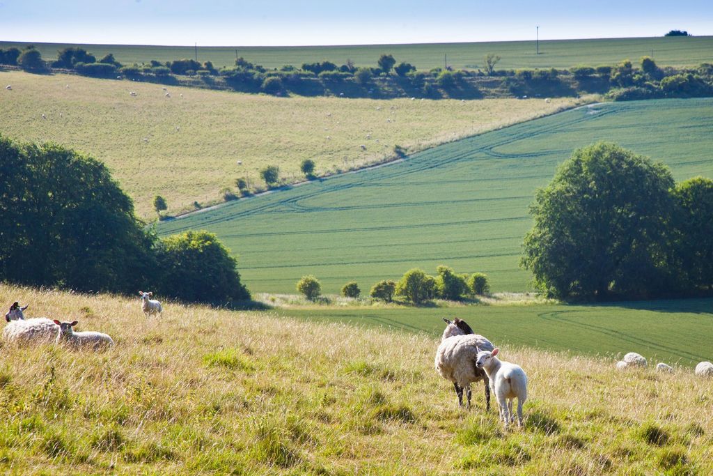 Additional image 8 of Land for saleSutton Parva, Tytherington, Warminster, Wiltshire BA12