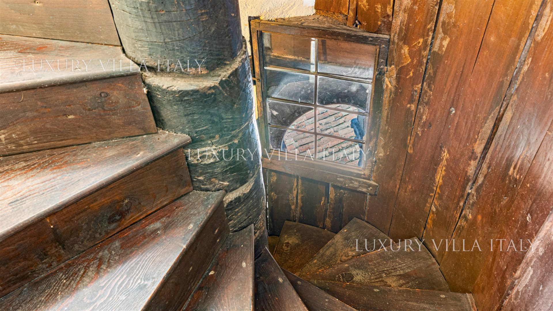 Additional image 20 of Pavia