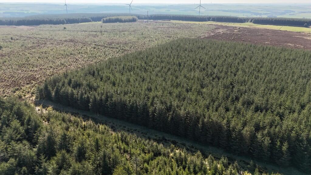 Additional image 10 of Lot 1 Woodland at Broadmuir, Hill of Fisherie, Turriff, AB53 5QL