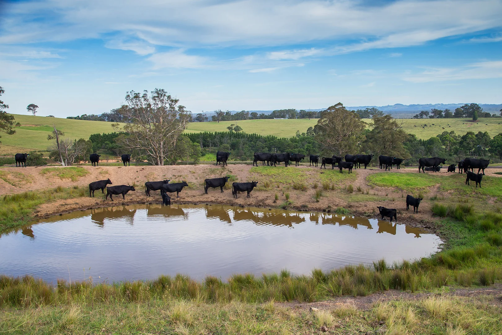 Additional image 10 of 1107 Old Hume Highway, Alpine NSW 2575