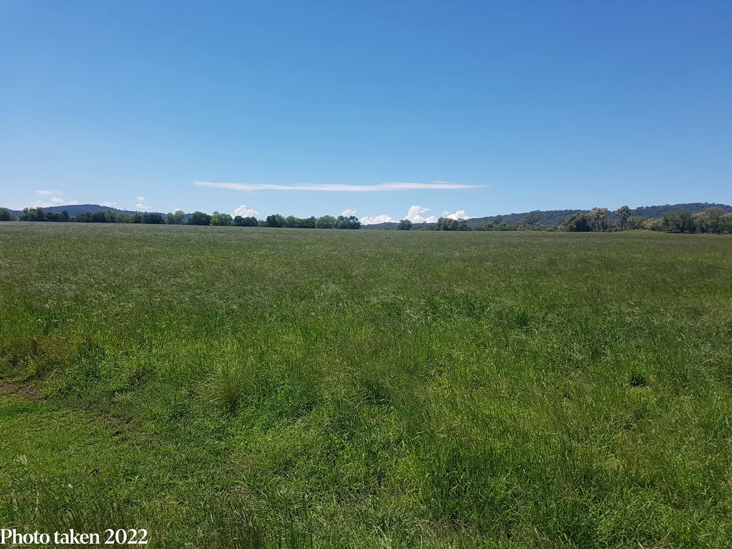Additional image 31 of 823 Eulourie Road, Bingara NSW 2404