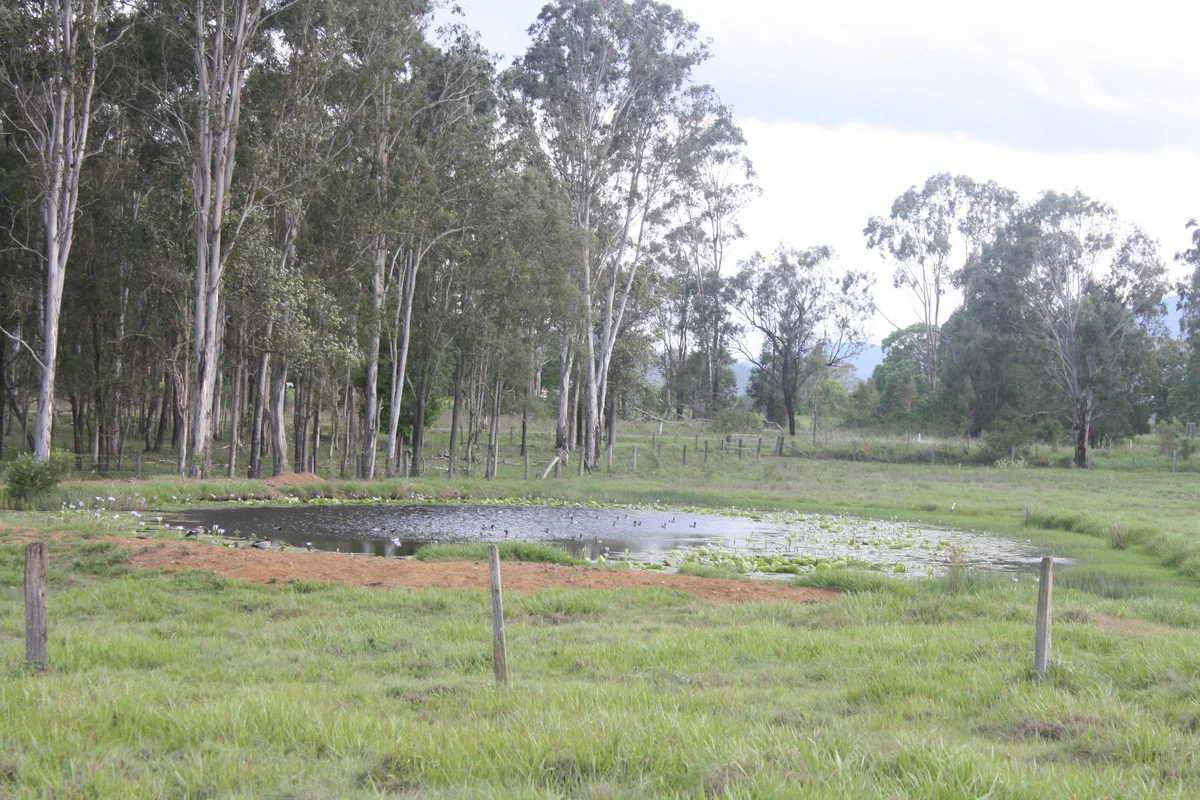 Additional image 27 of 2/49 Diggings Road, Glastonbury QLD 4570
