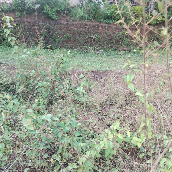Additional image 3 of Betalbatim, South Goa, Goa