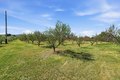 Additional image 30 of 7624 E Avenue U, Littlerock, CA, 93543