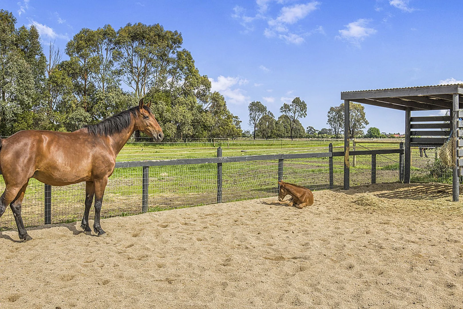 Additional image 26 of 3500 Ballarto Road, Bayles VIC 3981
