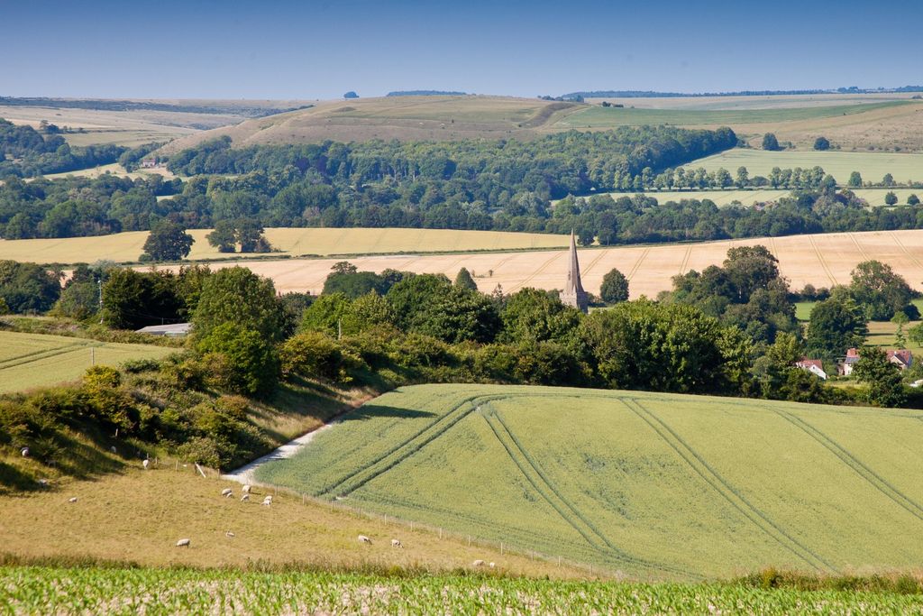 Additional image 23 of Land for saleSutton Parva, Tytherington, Warminster, Wiltshire BA12